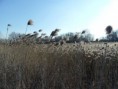 /album/fotogalerie/bazina-11-jpg/